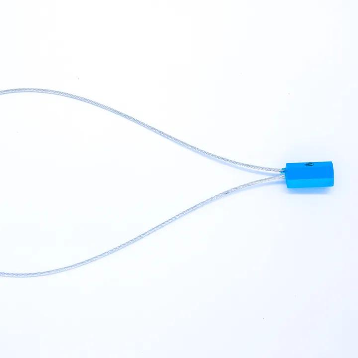  Hexagonal Non-Fixed Cable Seal (BLUE)