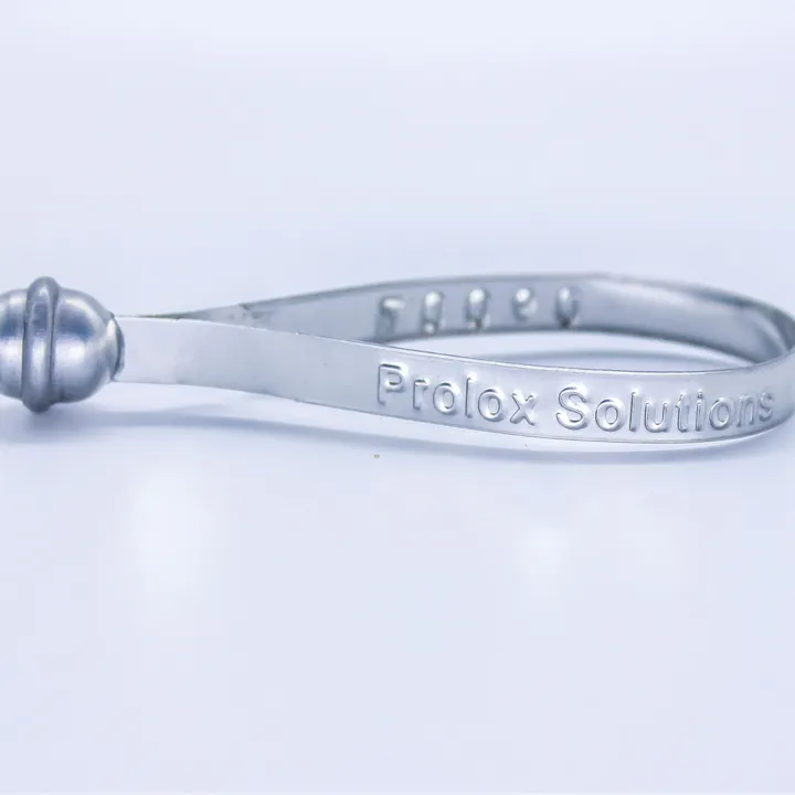 Metal Security Seal (20cm)